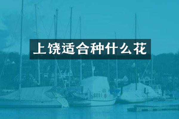 上饶适合种什么花