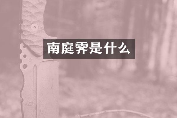 南庭霁是什么