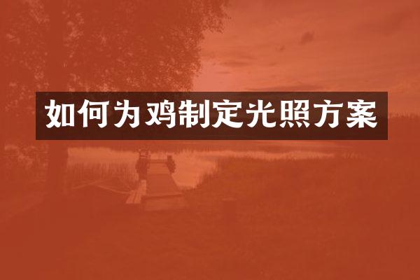 如何为鸡制定光照方案