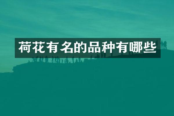 荷花有名的品种有哪些