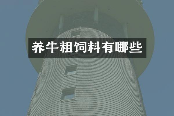 养牛粗饲料有哪些
