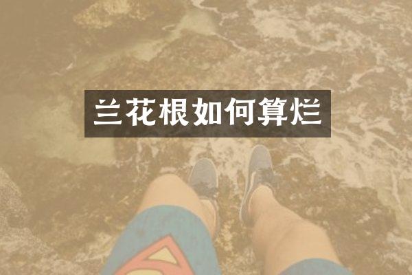 兰花根如何算烂
