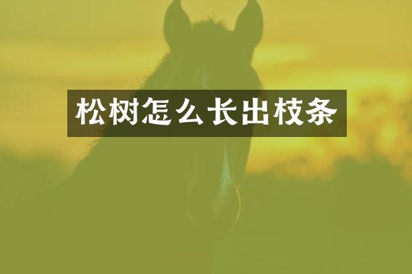 松树怎么长出枝条