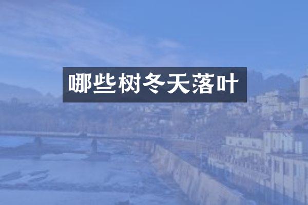 哪些树冬天落叶