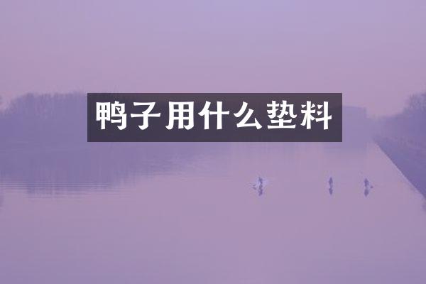 鸭子用什么垫料