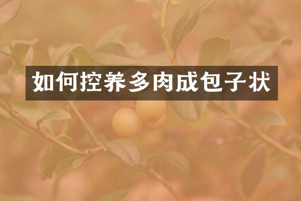 如何控养多肉成包子状