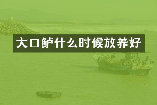 大口鲈什么时候放养好
