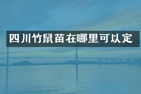 四川竹鼠苗在哪里可以定