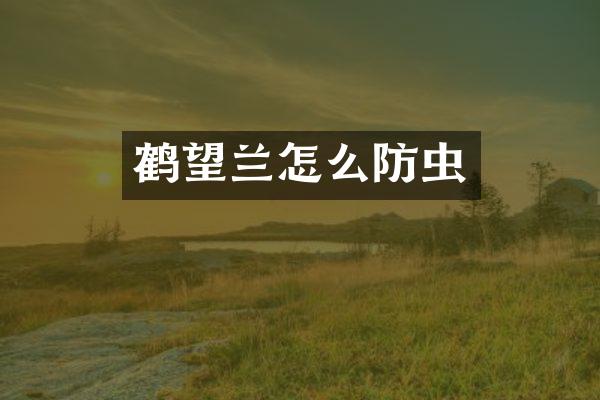 鹤望兰怎么防虫