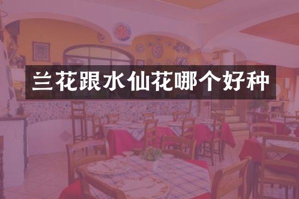 兰花跟水仙花哪个好种