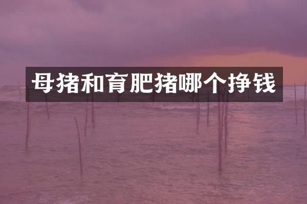 母猪和育肥猪哪个挣钱