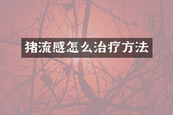 猪流感怎么治疗方法