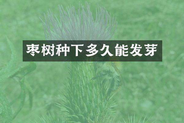 枣树种下多久能发芽