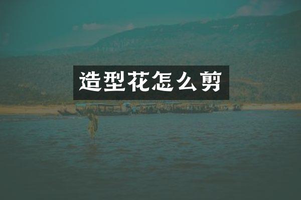 造型花怎么剪