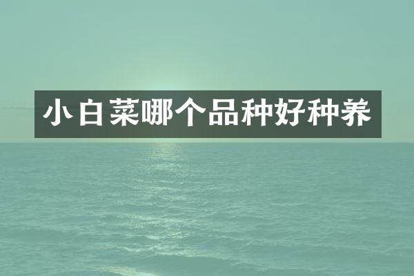 小白菜哪个品种好种养