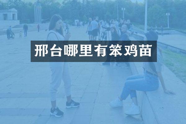 邢台哪里有笨鸡苗