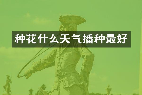 种花什么天气播种最好