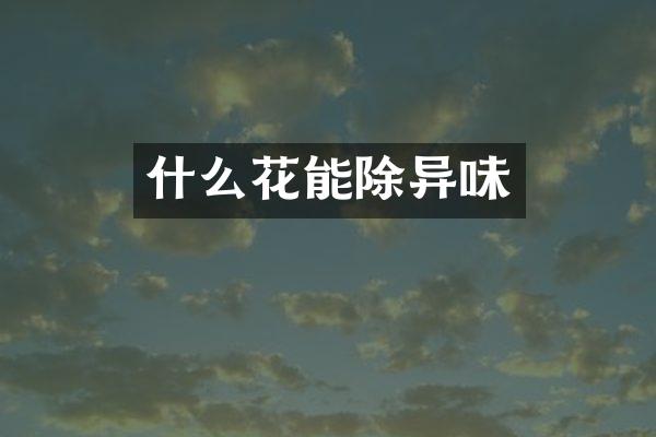 什么花能除异味