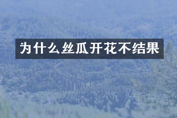 为什么丝瓜开花不结果