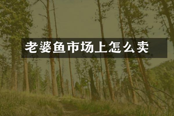 黒老婆鱼市场上怎么卖