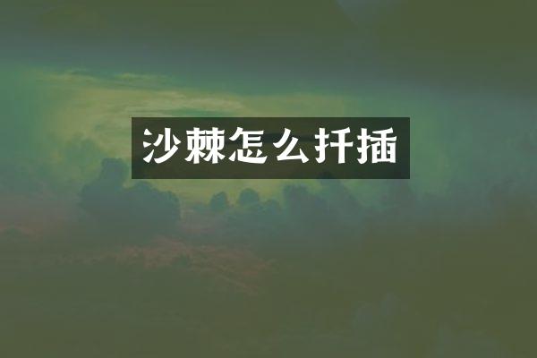沙棘怎么扦插