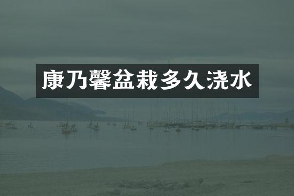 康乃馨盆栽多久浇水