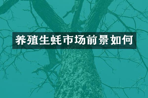 养殖生蚝市场前景如何