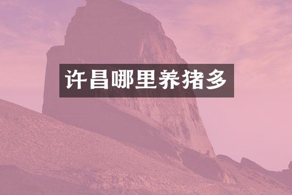 许昌哪里养猪多