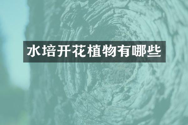 水培开花植物有哪些