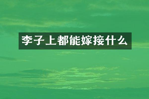 李子上都能嫁接什么
