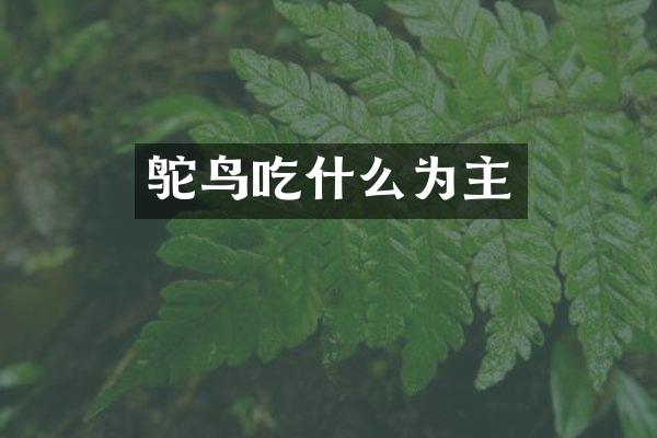 鸵鸟吃什么为主