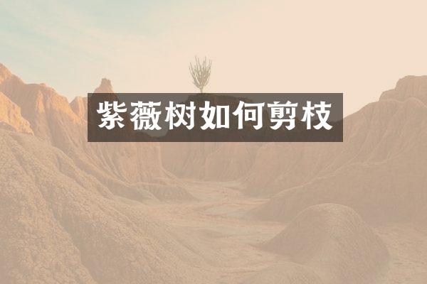 紫薇树如何剪枝