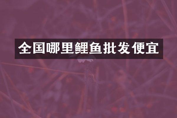 全国哪里鲤鱼批发便宜