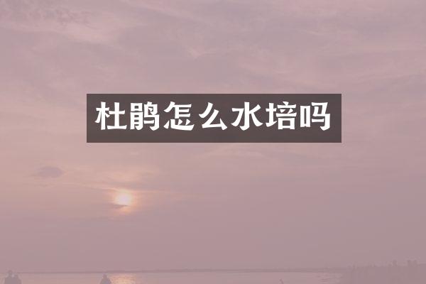 杜鹃怎么水培吗