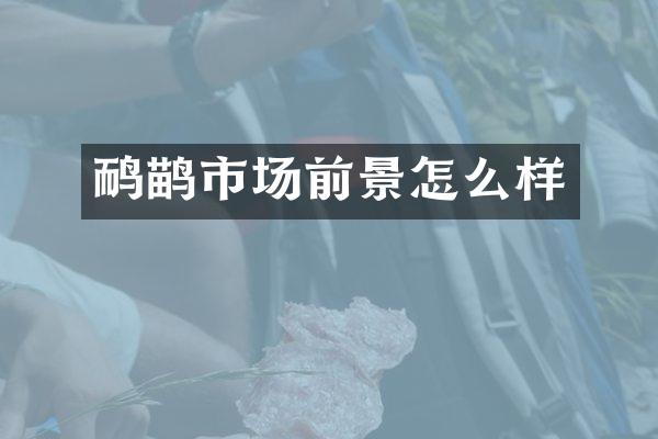 鸸鹋市场前景怎么样