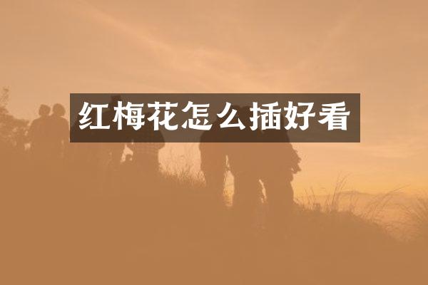 红梅花怎么插好看