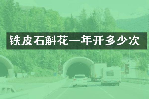 铁皮石斛花一年开多少次