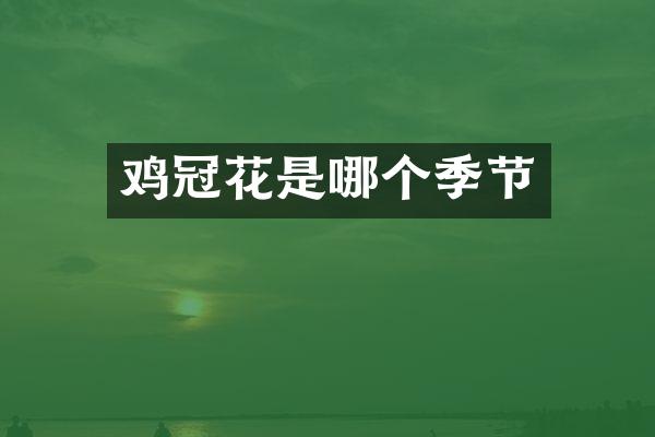 鸡冠花是哪个季节