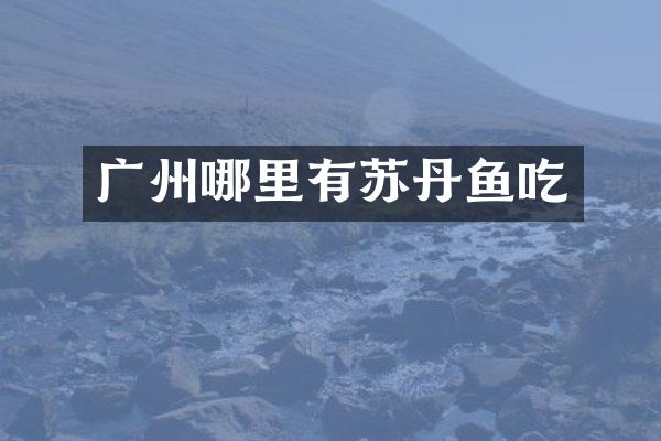 广州哪里有苏丹鱼吃