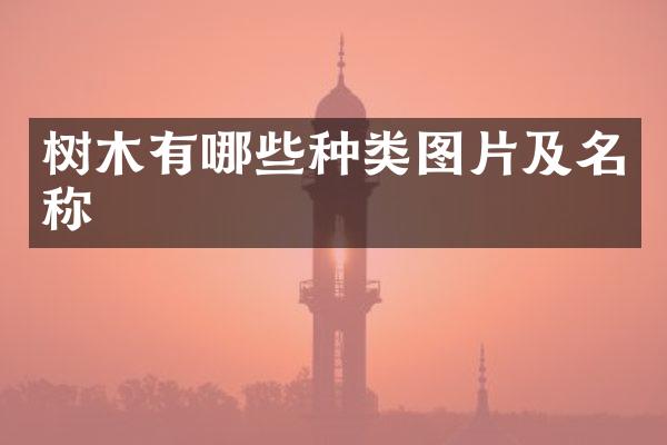 树木有哪些种类图片及名称