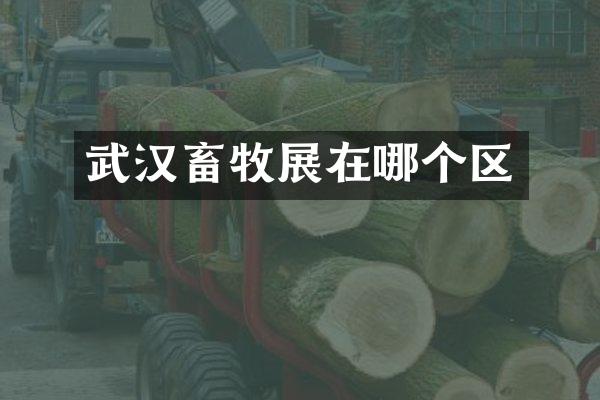 武汉畜牧展在哪个区
