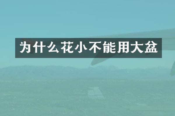 为什么花小不能用大盆