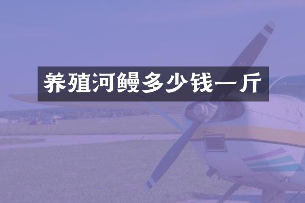 养殖河鳗多少钱一斤