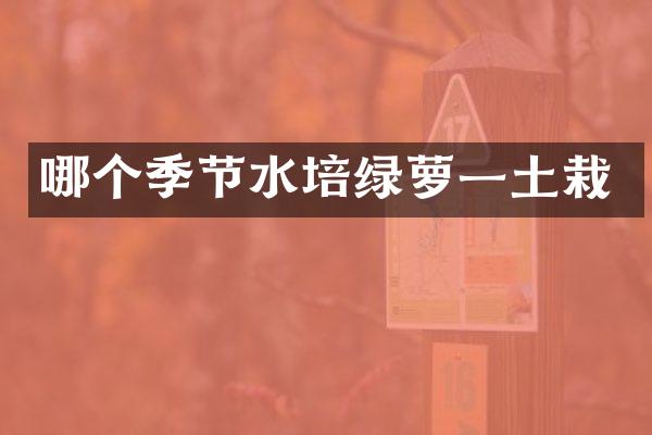 哪个季节水培绿萝一土栽
