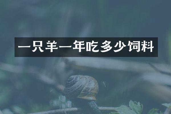 一只羊一年吃多少饲料