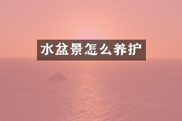 水盆景怎么养护