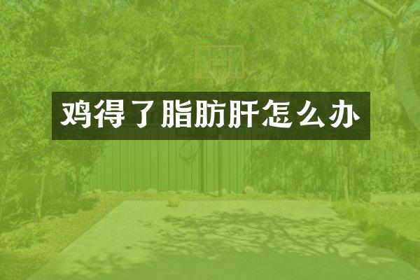 鸡得了脂肪肝怎么办