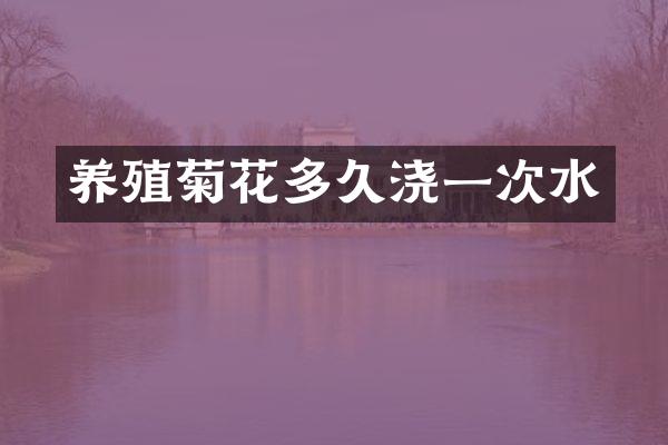 养殖菊花多久浇一次水