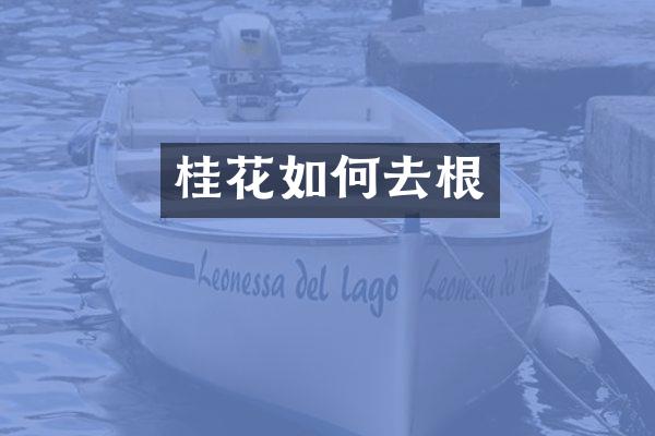 桂花如何去根