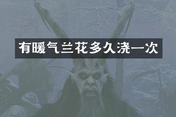 有暖气兰花多久浇一次
